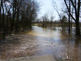 Bullitt County